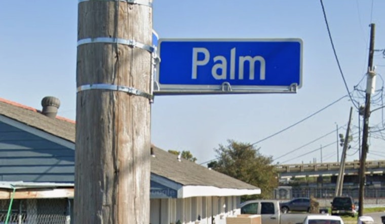 Pre-Dawn Gunfire Leaves Man Wounded on New Orleans' Palm Street