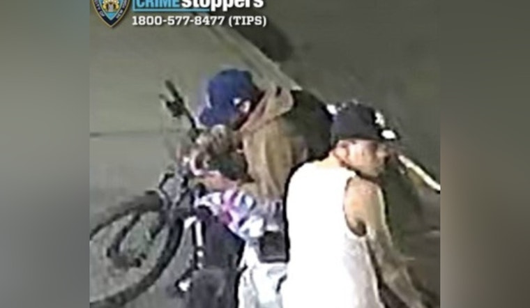 Queens Cops Hunt Duo Tied To Robbery Spree