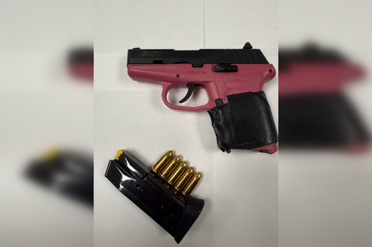 Queens Cops Snag Loaded Gun In Ozone Park Bust