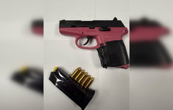 Queens Cops Snag Loaded Gun In Ozone Park Bust