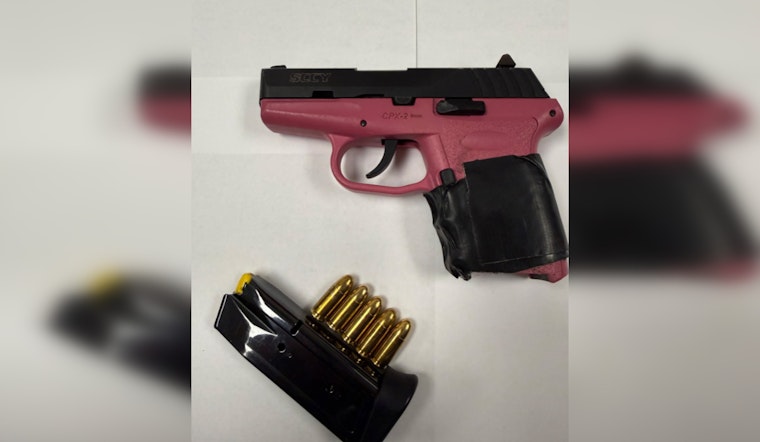 Queens Cops Snag Loaded Gun In Ozone Park Bust