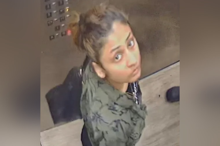 Queens Mom Nailed In Bengali Kidnap Torture Ring Tied To Ex-Boyfriend