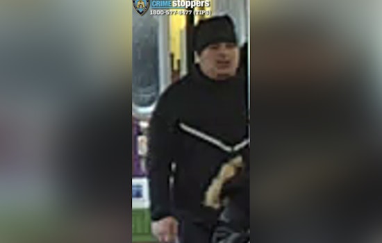 Queens Subway Shock As 14-Year-Old Slashed At Parsons Blvd Station