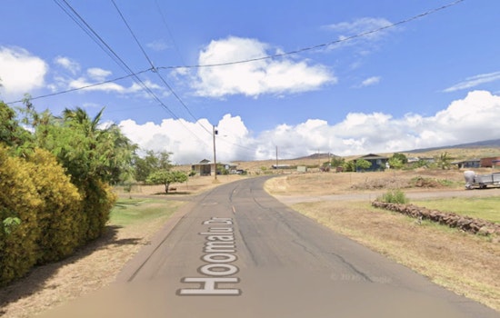 Quiet Kaunakakai Street Rocked By Deadly Dog Attack