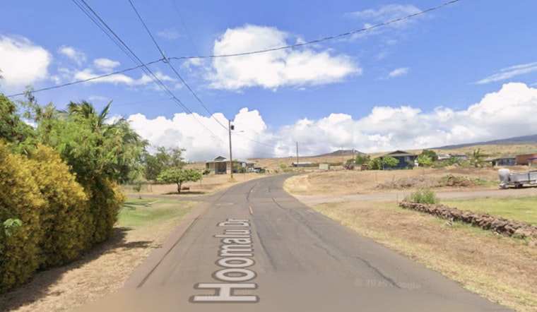 Quiet Kaunakakai Street Rocked By Deadly Dog Attack
