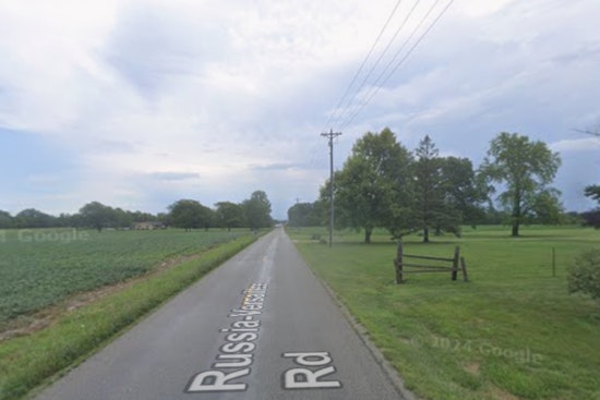 Quiet Shelby County Road Turns Deadly as Falling Tree Kills One
