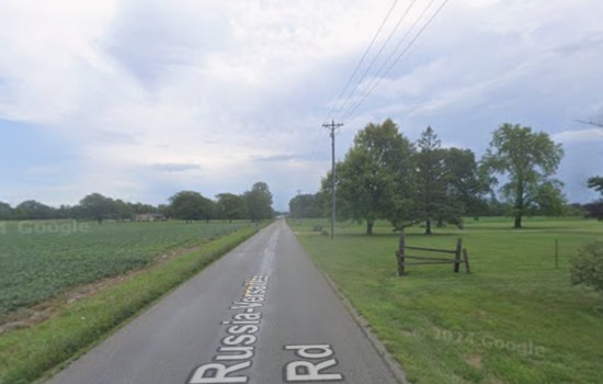 Quiet Shelby County Road Turns Deadly as Falling Tree Kills One
