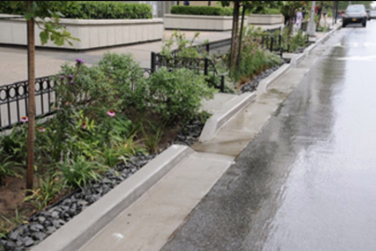 Rain Garden Brigade: $4.5 Million Green Jobs Push Hits Brooklyn and Queens