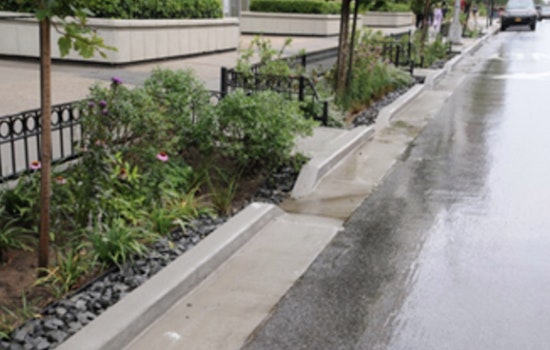 Rain Garden Brigade: $4.5 Million Green Jobs Push Hits Brooklyn and Queens