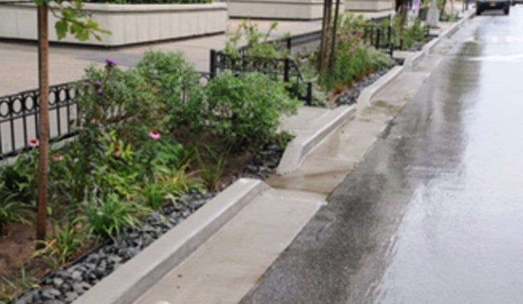 Rain Garden Brigade: $4.5 Million Green Jobs Push Hits Brooklyn and Queens