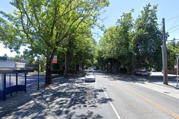Rainier Valley Carjacking Spree Ends With Bust Of Duo Packing Fake Guns