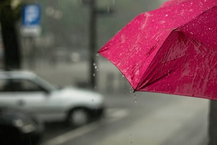 Raleigh’s Soggy Sunday as Chilly Winds Crash the Spring Party