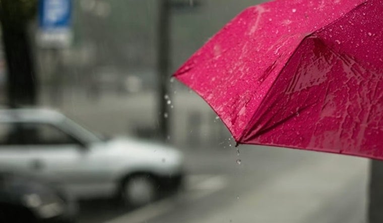 Raleigh’s Soggy Sunday as Chilly Winds Crash the Spring Party