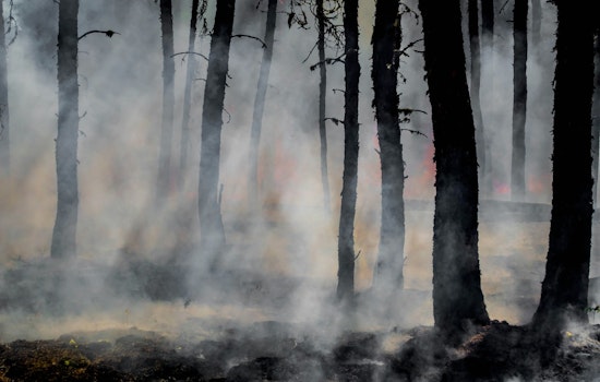 Raleigh’s Weather Whiplash Brings Chilly Nights, Frost Fears And A Burn Ban