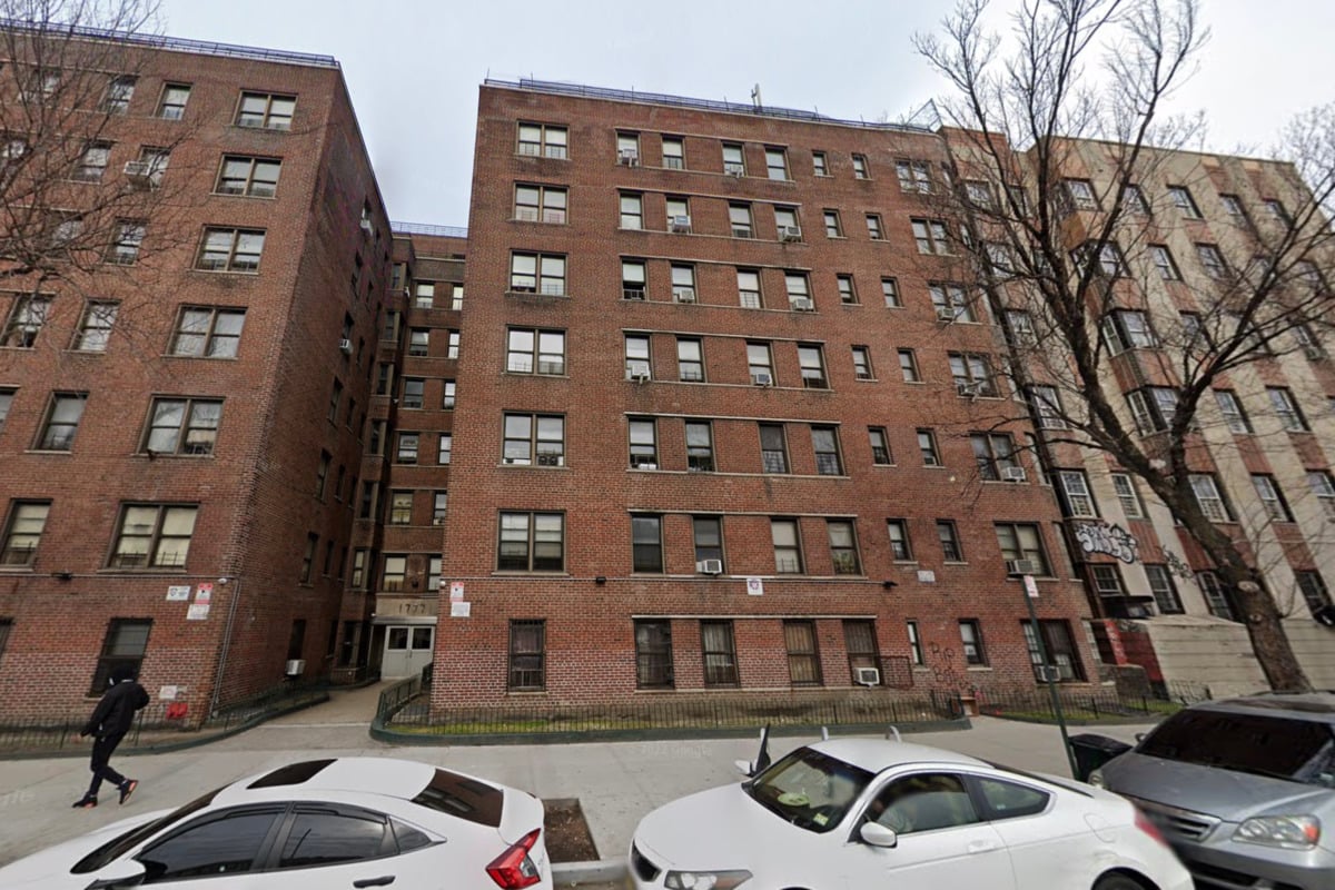 Rat Run Building Code Bronx Senior Says Rats Run Rampant At Grand Concourse Building
