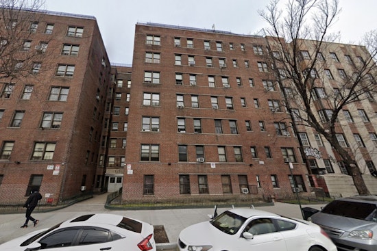 Rats Rule the Kitchen in Bronx Senior’s Grand Concourse Nightmare