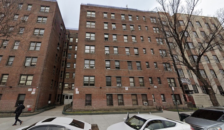 Rats Rule the Kitchen in Bronx Senior’s Grand Concourse Nightmare