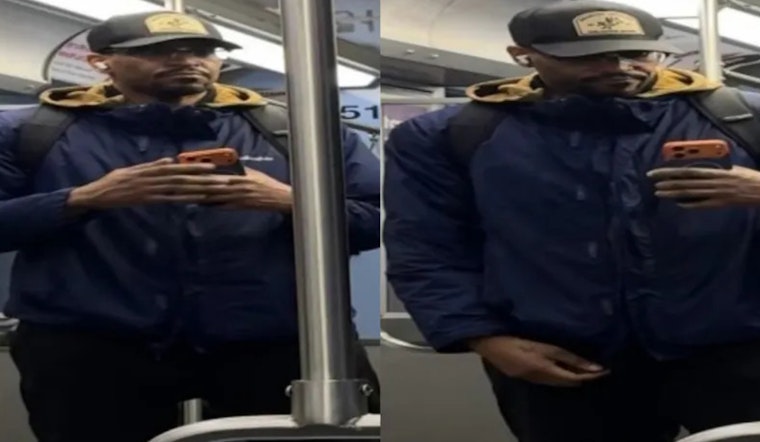 Red Line Attack Near Goose Island Leaves Rider Injured as Cops Hunt Attacker