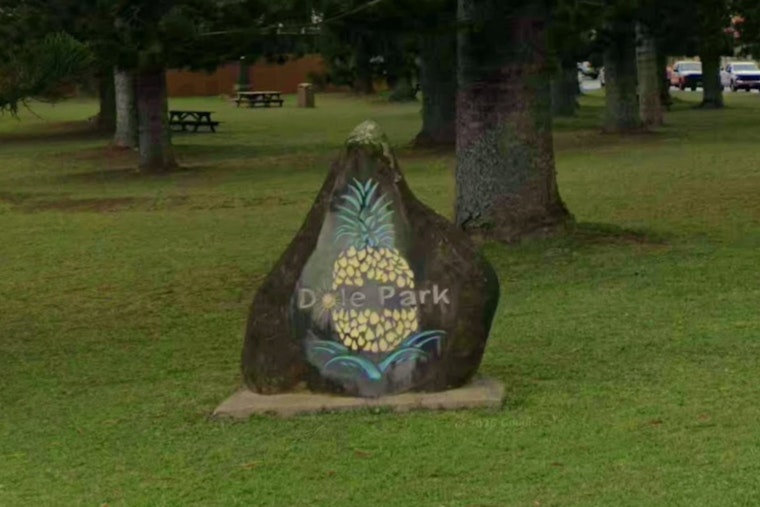 Retro Lanes, Island Bites And Fresh Art Jolt Sleepy Lānaʻi City