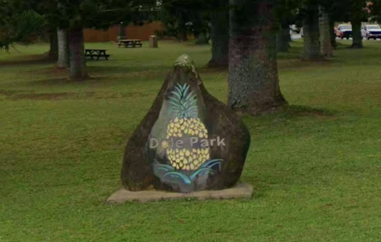 Retro Lanes, Island Bites And Fresh Art Jolt Sleepy Lānaʻi City