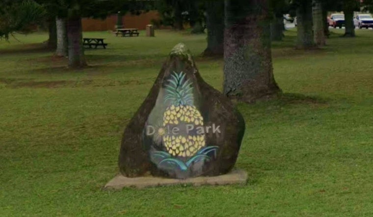 Retro Lanes, Island Bites And Fresh Art Jolt Sleepy Lānaʻi City