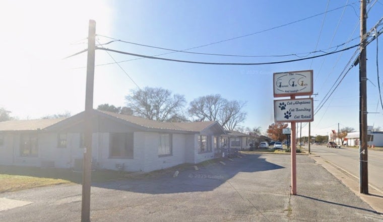 Richland Hills Cat Cafe Down To Its Last Life As Landlord Eyes Sale