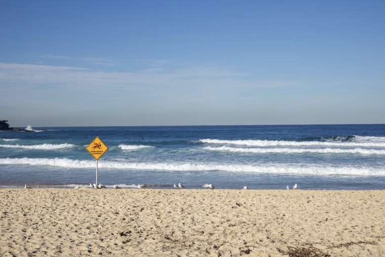 Rip Currents Turn Miami's Muggy Morning Into Beach Danger Zone