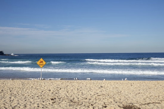 Rip Currents Turn Miami's Muggy Morning Into Beach Danger Zone