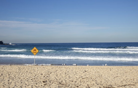 Rip Currents Turn Miami's Muggy Morning Into Beach Danger Zone