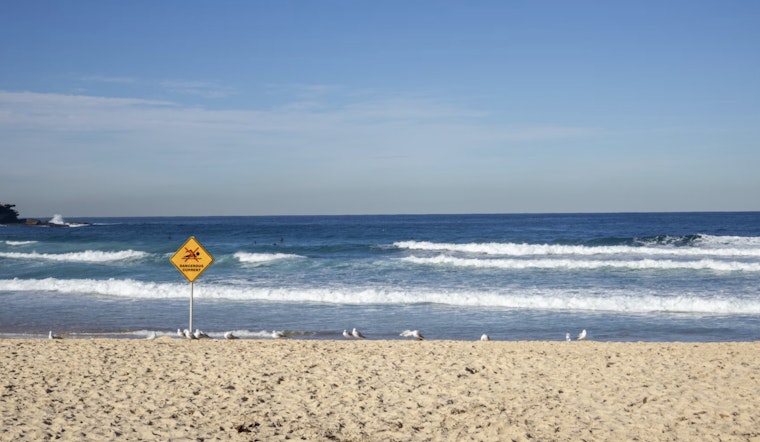 Rip Currents Turn Miami's Muggy Morning Into Beach Danger Zone