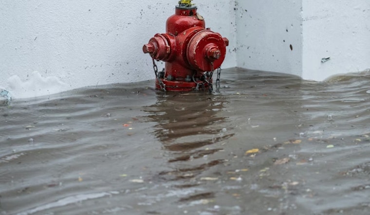 Rising Creek Puts Collin County Backroads On Edge Near Blue Ridge