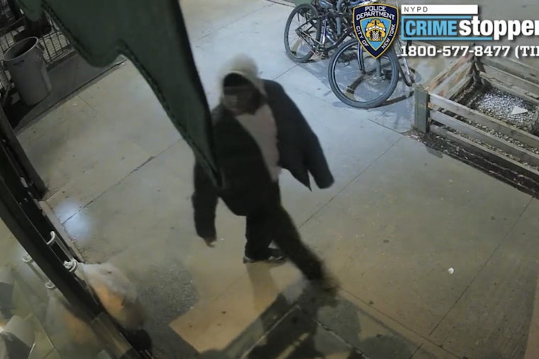 Rock-Hurling Burglar Shatters Park Slope Door in 3 A.M. Break-In