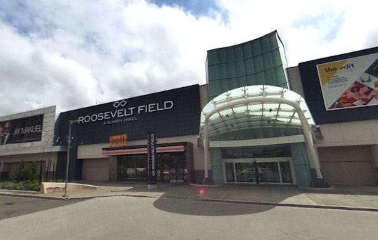 Roosevelt Field Chaos as Victoria’s Secret Bust Turns Into Taser Brawl