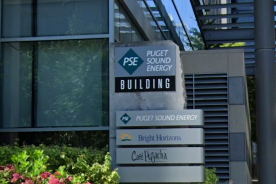 Rowdy Raccoon Triggers Morning Blackout Across Sumner, Bonney Lake And Puyallup