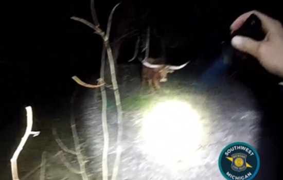 Runaway Texas Longhorn Drags Wayland Troopers Into Late-Night Rodeo