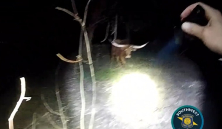 Runaway Texas Longhorn Drags Wayland Troopers Into Late-Night Rodeo