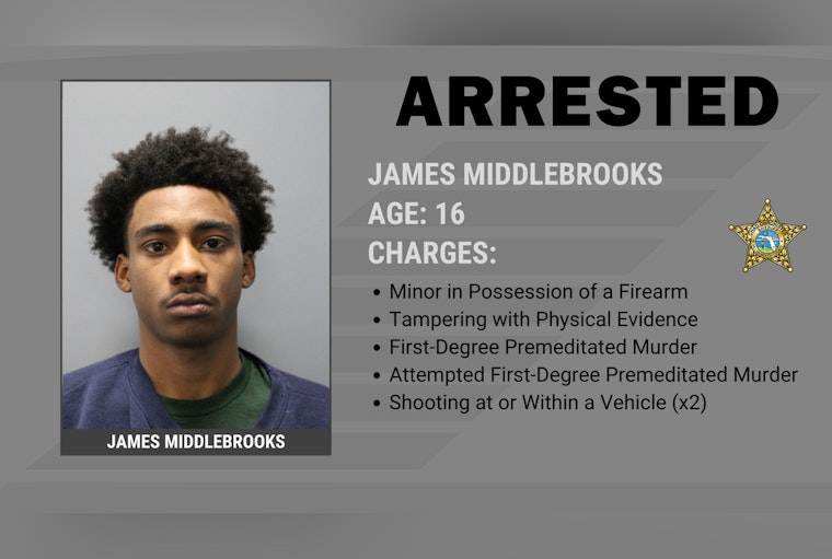 Ruskin Teen Accused In Apollo Beach Drug-Deal Killing Held Without Bond