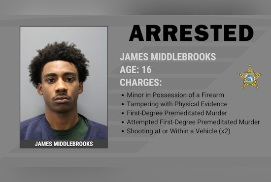 Ruskin Teen Accused In Apollo Beach Drug-Deal Killing Held Without Bond