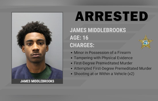 Ruskin Teen Accused In Apollo Beach Drug-Deal Killing Held Without Bond