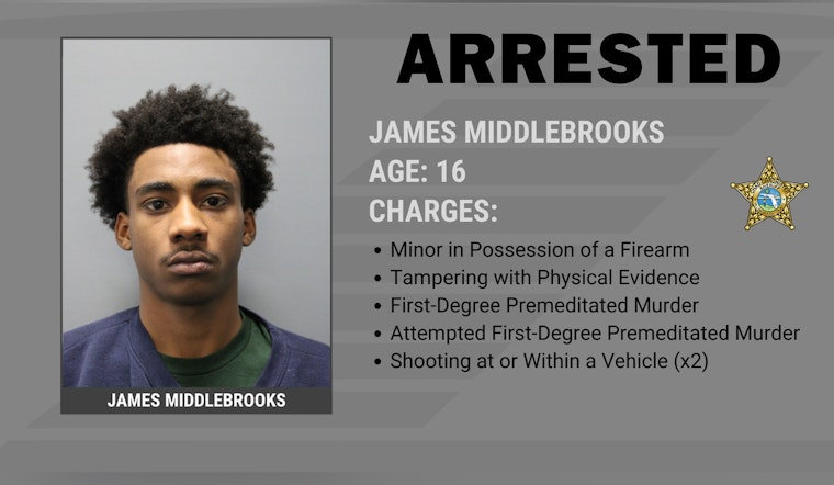 Ruskin Teen Accused In Apollo Beach Drug-Deal Killing Held Without Bond