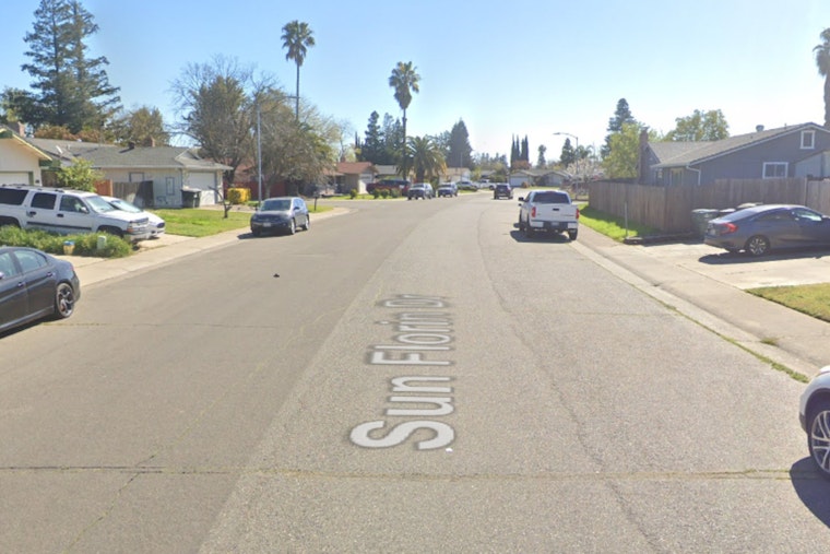 Sacramento Shelter Shocked After Cat Killing, Neighbors Urged To ID Suspect