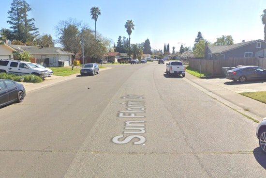 Sacramento Shelter Shocked After Cat Killing, Neighbors Urged To ID Suspect