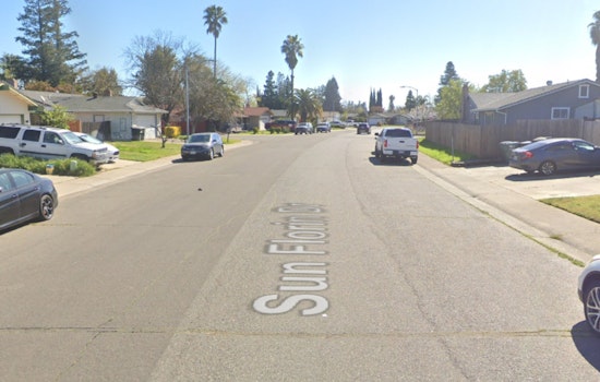 Sacramento Shelter Shocked After Cat Killing, Neighbors Urged To ID Suspect