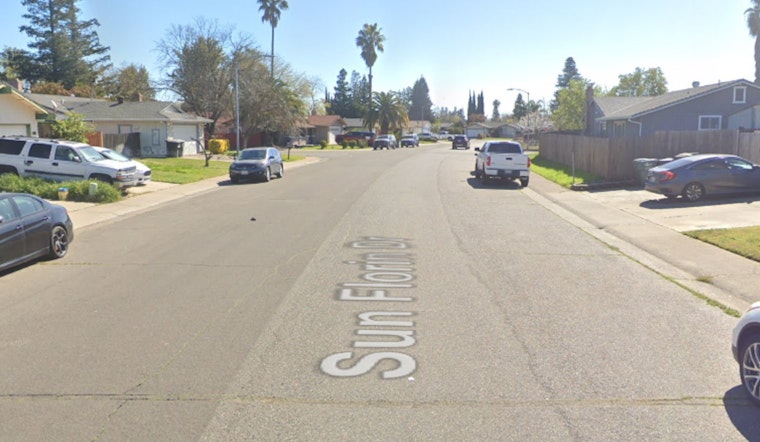 Sacramento Shelter Shocked After Cat Killing, Neighbors Urged To ID Suspect