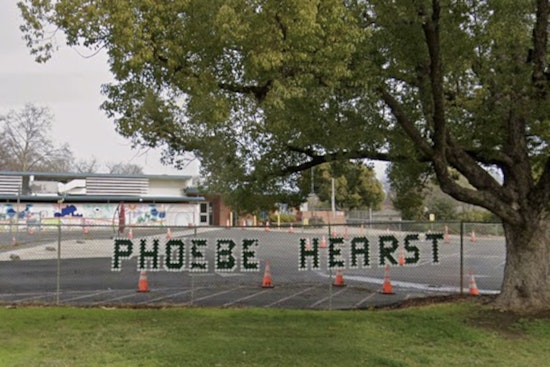 Sacramento Teacher Sues District After Flea-Infested Carpet Classroom Clash