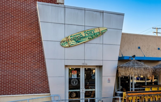San Diego Craft Beer Institution Pizza Port Ordered Closed Over Vermin