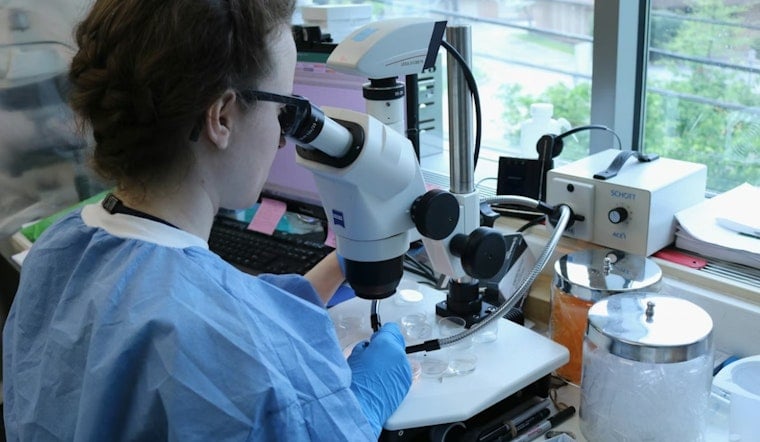 San Diego Scientists Sound Alarm as 8 Million Americans Trip on Shrooms