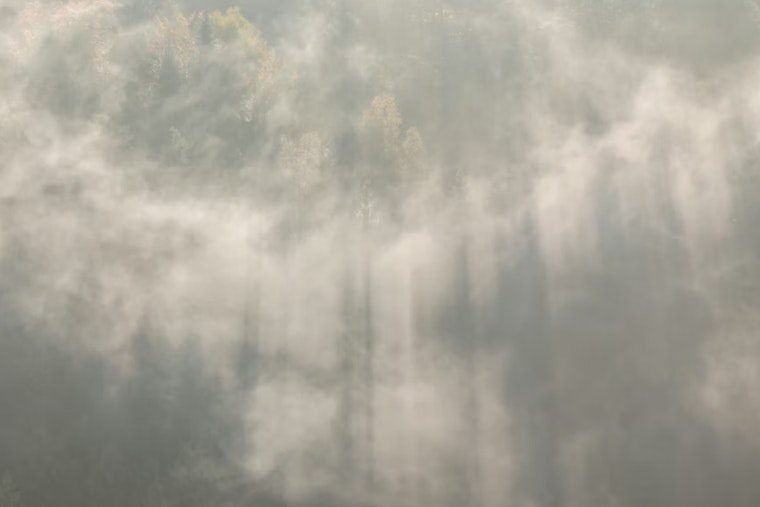 San Jose Wakes Up In A Fog, Basks In Afternoon Sun On Thursday