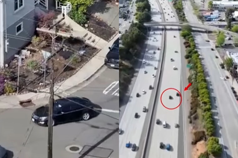 San Leandro Safeway Stickup Triggers Chase, Two Nabbed As Third Slips Away