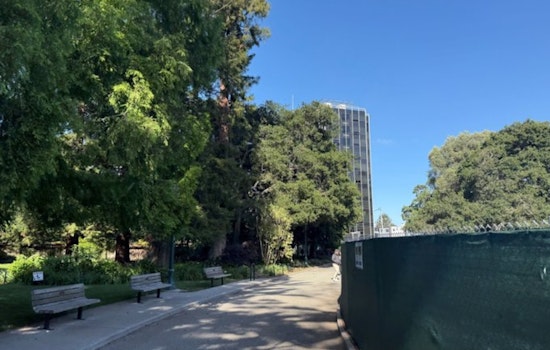 San Mateo Cops Nab Suspect In Alleged Random Attack On Senior